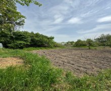 ismayillida torpaq alqi satqisi İsmayıllı ş.