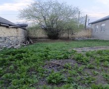 Satılır Torpaq İsmayıllı ş.