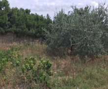 Satılır Torpaq Mərdəkan, Xəzər r.