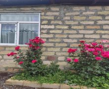 Satılır Bağ evi Goranboy ş.