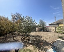 elanlari alqi satqisi elanlari Şirvan ş.