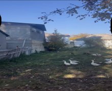 Satılır Torpaq Qəbələ ş.