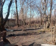 Satılır Torpaq Qəbələ ş.