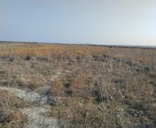 Satılır Torpaq Göyçay ş.