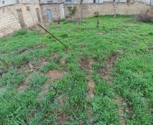 Satılır Torpaq Masazır, Abşeron r.