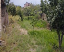 sarayda torpaq satilir Saray, Abşeron r.