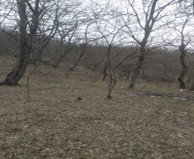 Satılır Torpaq Qusar ş.