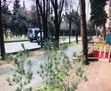 neftcilerde aylıq icareye obyekt Neftçilər m., Nizami r.