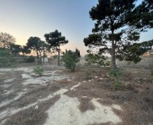 Satılır Torpaq Biləcəri qəs., Binəqədi r.