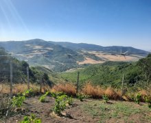 ismayillida torpaq alqi satqisi İsmayıllı ş.