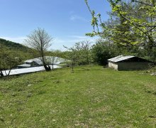 Satılır Torpaq Qəbələ ş.