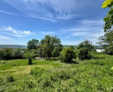 ismayillida torpaq alqi satqisi İsmayıllı ş.