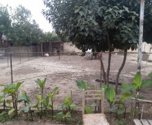 rayonlarda torpaq alqi satqisi Mehdiabad, Abşeron r.