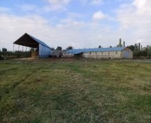 xacmazda torpaq alqi satqisi Xaçmaz ş.