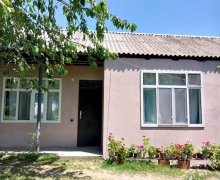 Kirayə (günlük) Həyət evi/villa Qəbələ ş.