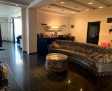 evlerin satisi Nəsimi r.