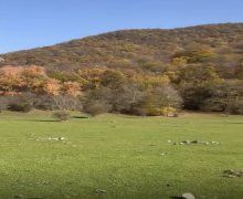 Продажа Участок Огуз г.