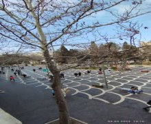 Kirayə (aylıq) Köhnə Tikili Sahil m., Səbail r.