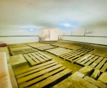 Kirayə (aylıq) Obyekt Nəriman Nərimanov m., Nərimanov r.