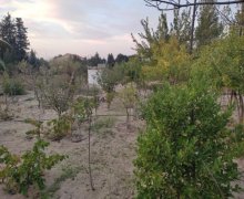 Satılır Bağ evi Novxanı, Abşeron r.