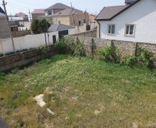 elanlari alqi satqisi elanlari Səbail r.