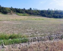 Satılır Torpaq Qəbələ ş.