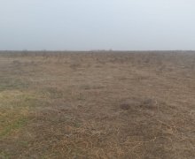 Satılır Torpaq Ağcabədi ş.