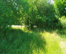 Satılır Torpaq Quba ş. Satılır Torpaq Quba ş.