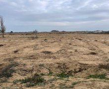 Satılır Torpaq Nardaran qəs., Sabunçu r.