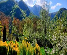 Kirayə (günlük) Bağ evi Oğuz ş. Kirayə (günlük) Bağ evi Oğuz ş.