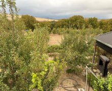 elanlari alqi satqisi elanlari Şamaxı ş.