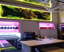 Аренда Офис м. 28 Мая м., Насими р.