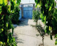 Satılır Həyət evi/villa Koroğlu m., Bilgəh qəs., Sabunçu r.