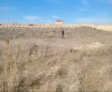 Satılır Torpaq Pirşağı qəs., Sabunçu r.