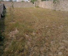 mastagada torpaq alqi satqisi Koroğlu m., Maştağa qəs., Sabunçu r.