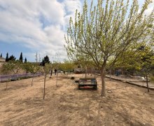 Satılır Torpaq Şüvəlan, Xəzər r.