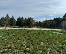 Satılır Torpaq Şüvəlan, Xəzər r.