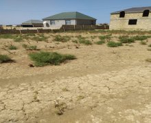 Satılır Torpaq Saray, Abşeron r.