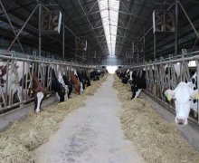 Продажа Объект Фатмаи, Абшерон р.