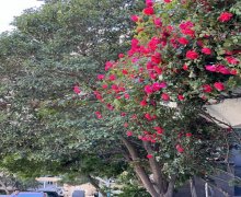 Satılır Köhnə Tikili Həzi Aslanov m., Əhmədli, Xətai r.