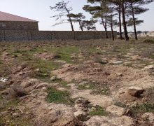 hovsanda torpaq satilir Hövsan qəs., Suraxanı r.