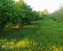 Satılır Torpaq Qəbələ ş.