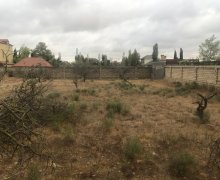 rayonlarda torpaq alqi satqisi Abşeron r.