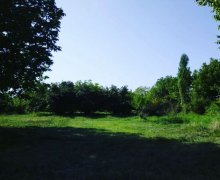 Satılır Torpaq Qəbələ ş.