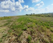 elanlari alqi satqisi elanlari Biləsuvar ş.