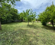 ismayillida torpaq alqi satqisi İsmayıllı ş.