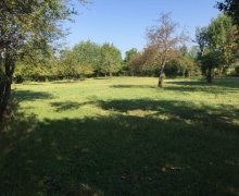 Satılır Torpaq Qəbələ ş.