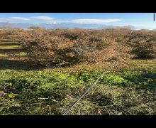 elanlari alqi satqisi elanlari Oğuz ş.