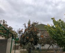 Kirayə (aylıq) Bağ evi Qobu, Abşeron r.