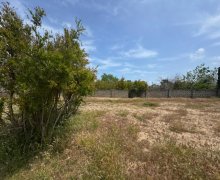 Продажа Участок Шаган, Хязяр р. Продажа Участок Шаган, Хязяр р.